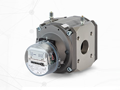Rotary gas meters Gaze'lektronika
